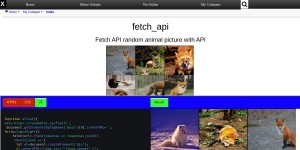 Fetch Api