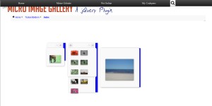Micro Gallery Demo