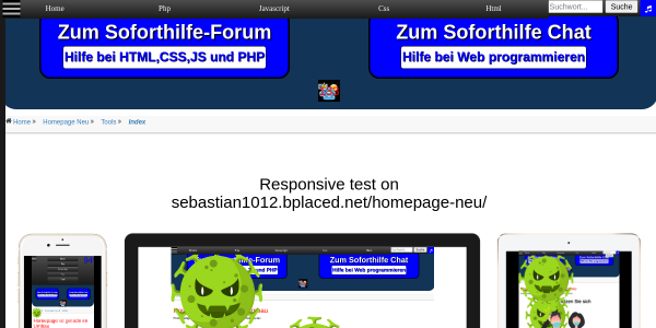 zeige Webseite auf endgeraete 